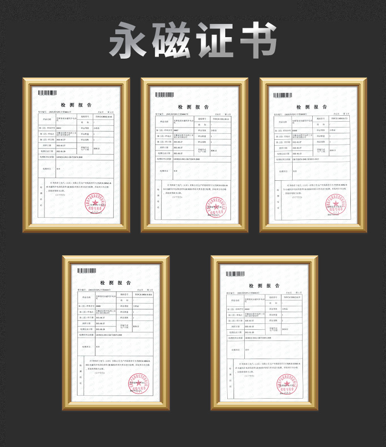 雷力电驱动永磁证书.jpg