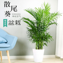 ɢβ�������Pβ���҃ȿ͏d���;Gֲ���FҬ�����������Ļ���ֲ��