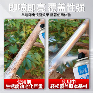 �yɫ����޽��ٷ��P��304���P���t���y����\�y��ɫ����