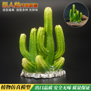 ����������ֲ�������ƾ�����ģ�Ͳ�ω���������������k�[��