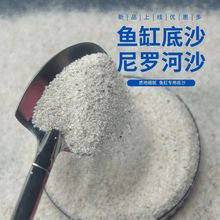 白沙装饰河沙化妆沙草底砂河沙细沙水草白色底砂流沙鱼缸底沙雷龙