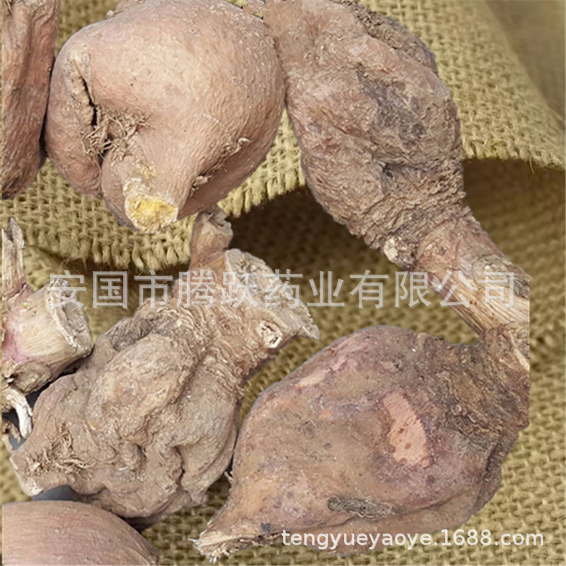Dried Radish Root Herb Di Ku Lou 地骷髅 Traditional TCM Raw Herb Slices 500g quality and texture