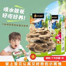 考拉蘑菇种植包2盒装可食用diy包棒种秀珍平菇新鲜儿童