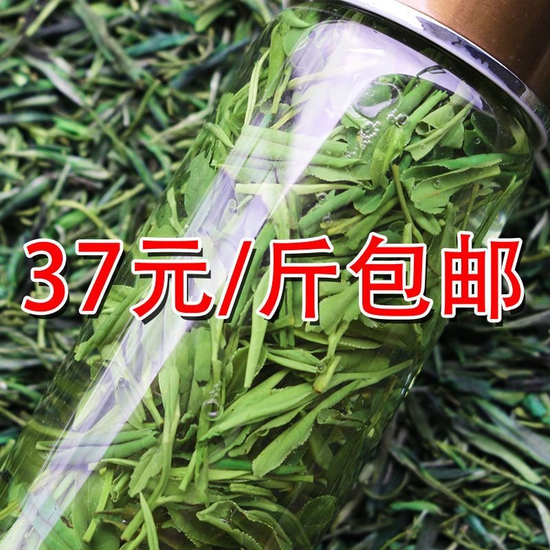 安徽绿茶2022新茶叶散装黄山毛峰浓香型嫩芽500袋装绿茶叶