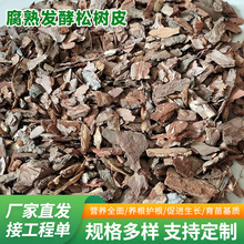 �S��ֱ���l���ɘ�Ƥ���w�����[�G������Ƥ�@�־��^ͥԺ����Ƥ