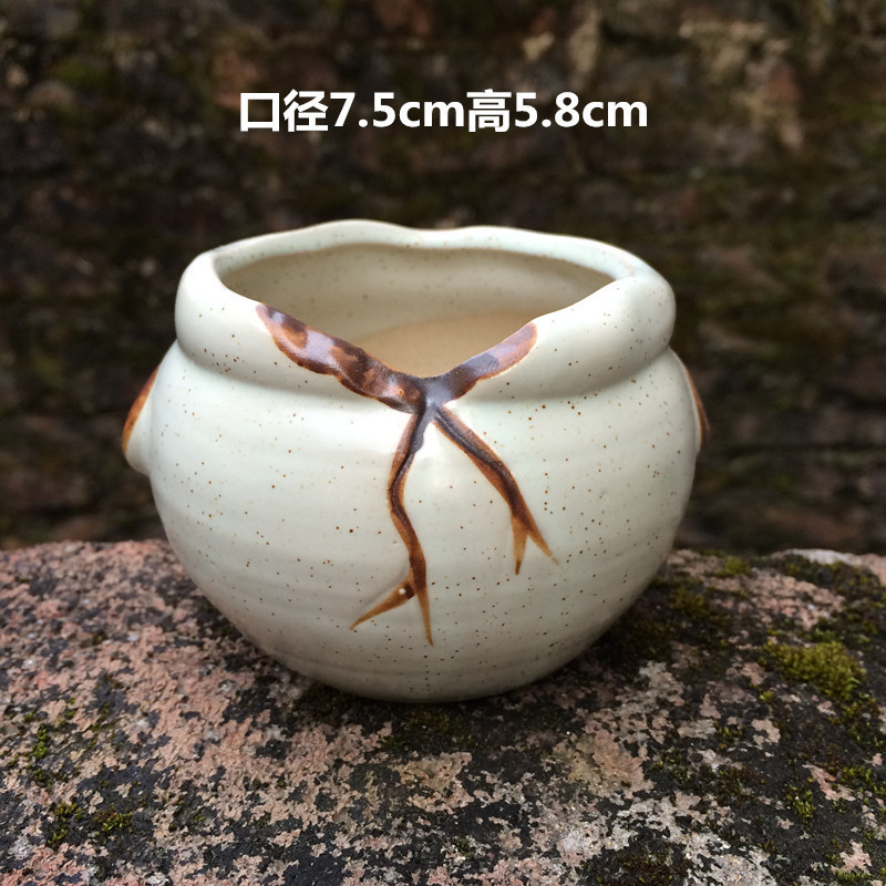 植木鉢の小さい新商品の缶のアイデアの磁器の缶の多い陶磁器の肉のミニ陶のレトロな家庭の陶磁器のたらいの園芸の太い新しいです。|undefined