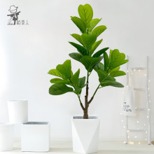 �羳���W���滨�Gֲ�߶��p�����~�ŷ����Ҿ�ͥԺ���ֲ��