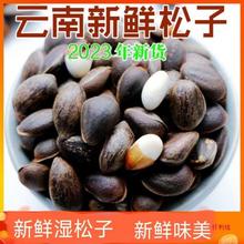 云南新鲜松子原味非东北生松子散装批发黑松子零食坚果产