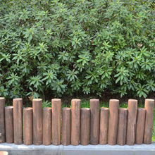 ����̼������ľ�řڻh�ʇ����b�ľ��ͥԺ�҃ȈAľ���o��