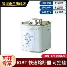 R3216940、R3286900、R3586921、R5085953金米勒熔断器
