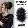 Big advanced crab pin, hairgrip, black shark, curlers, hair accessory, internet celebrity, high-quality style, wholesale