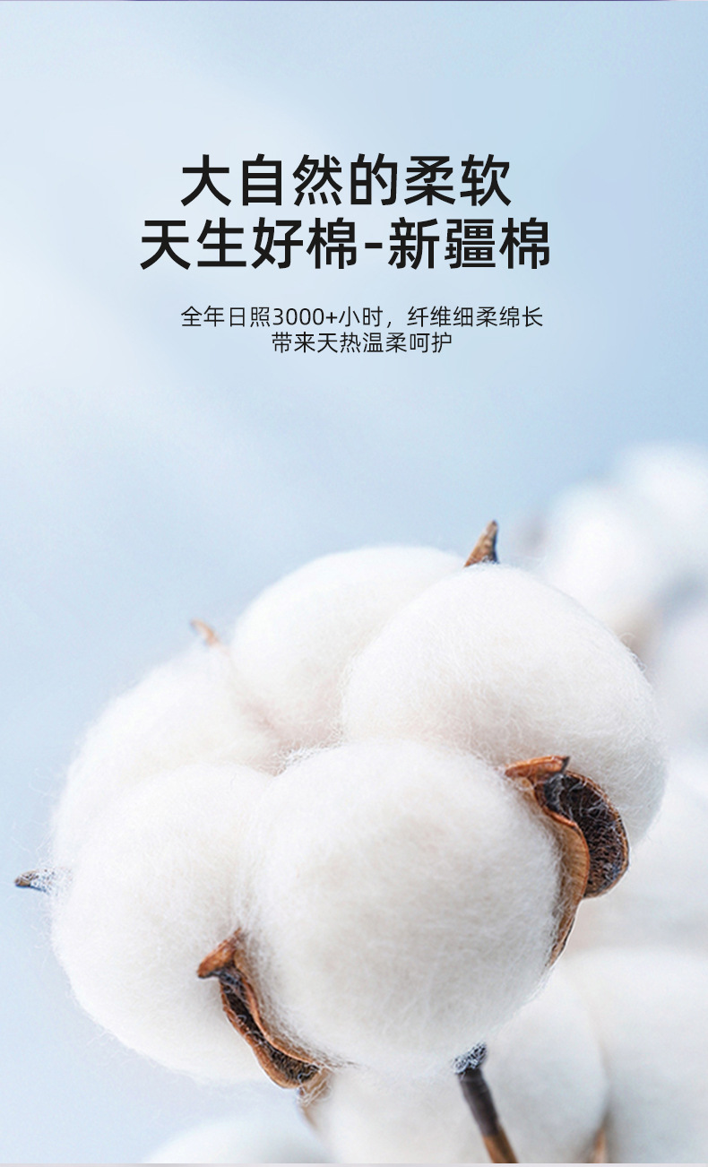 日抛内裤紫背景_07