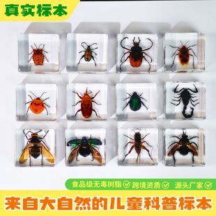 �挍�������x�˱�͸����֬���x�˱���ͯ������ߔ[����悶YƷ�YƷ