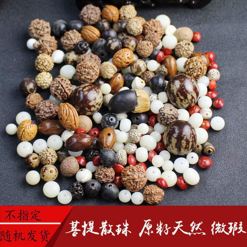 Various Bodhi Seeds Original Seeds Vajra Star Moon Bodhi Root Loose Beads Spacer Beads Spacer Bracelet DIY Accessories Handmade
