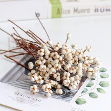 diy�o�������޹������������Ȼֲ��ɻ�������޹Ϟ�T����