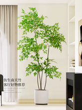 ����Gֲ������͏d��ؼ����Ը߶��p�ݷ���ֲ����͔[���쾰����