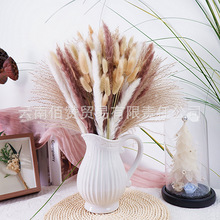 ��ϏS�����l���R�dС�JȔ�ɻ�����С���m�ɻ���β�ݿ羳���l