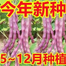 ���������ǷN���ͺ��͟�߮a�o����ļ���@ͥԺ�����ἃ�N��