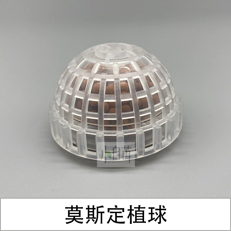 Трансграничная эксклюзивная творческая комбинация полусферы MOSS подвеска MOSS Бесплатная Привязка MOSS посадка полушария оптом небольшой самостоятельный запуск