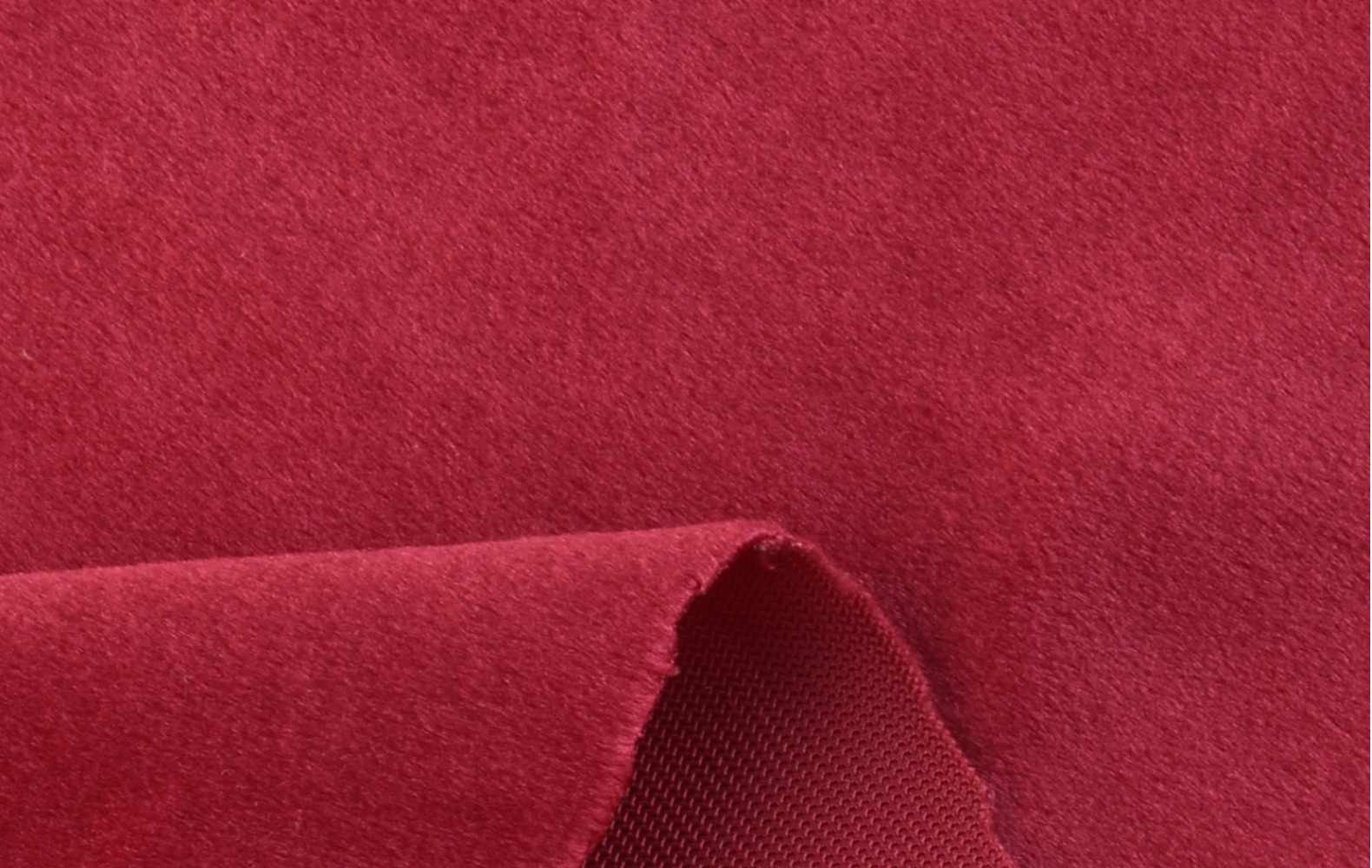 丽丝绒/荷兰绒180g210g260g 秋冬服装里布毛绒玩具面料全涤短毛绒-阿里巴巴