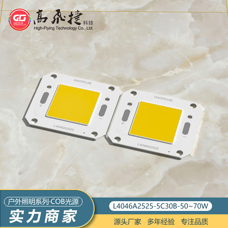 COB光源 40*46/25*25 50-75W 太阳能集成LED灯珠 倒装COB芯片