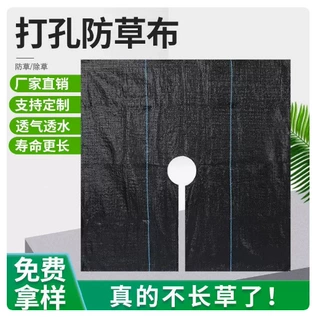 打孔防草布 果园种植专用除草布抑草除草 透水保肥抗老化园艺地布