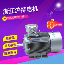 浙江沪特电机YBK3煤矿井下用隔爆型三相异步电动机厂家直供