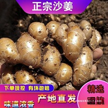 ����ɰ��ï�����r�����u���ϰ��]�i�_Ҭ���uɳ��ɽ�ήa��������