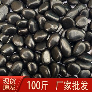 100����ɫ�Z��ʯ�껨ʯͥԺ���@�쾰�b��·䁵غ�ʯ�^ʯ��