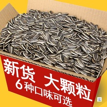 2025؛Ѵwrlɹԭζʳ؛