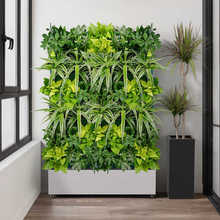 �̨�Ԅӝ�ˮ����2025�¿�N���Ƅ�ֲ�������ػ����߲˷Nֲ��