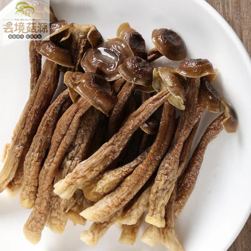 d1c1208ccfa455f87084395186193b