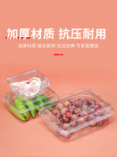 O5Z2一次性草莓包装盒一斤装水果盒子车厘子打包盒蔬菜塑料盒带盖