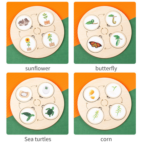 Cross-border  Montessori life cycle pallet wooden enlightenment educational children's diy puzzle toy
