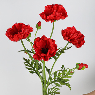 ����PU�����������˻�c��Y�b鷿���ÔzӰ���߼ٻ��[���zӰ��