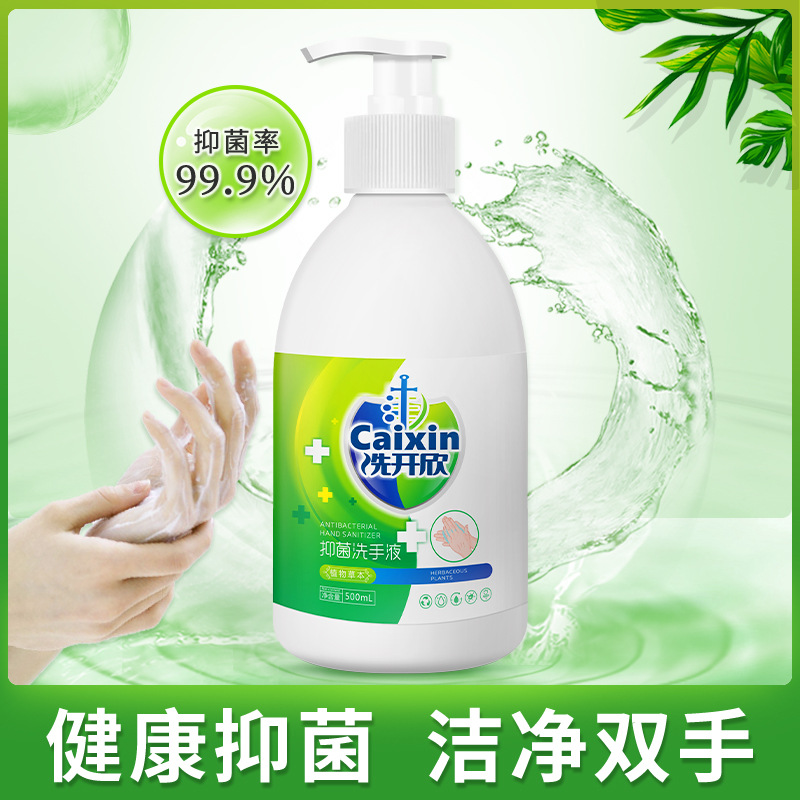 洗开欣抑菌洗手液植物萃取中性护手抑菌洗手液500ml|ms