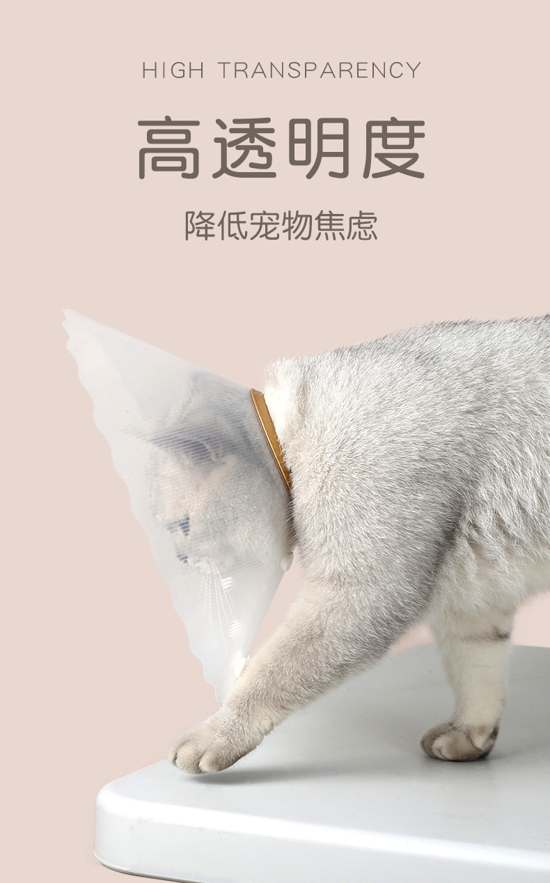 波浪伊丽莎白圈_06