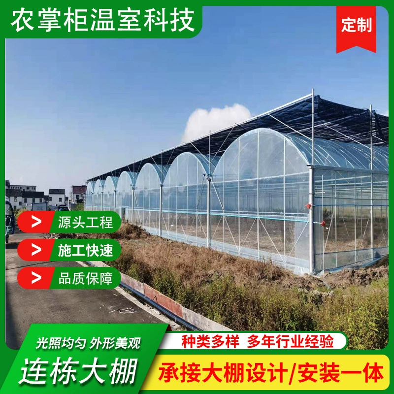 Многосекционная теплица для выращивания овощей, теплица для винограда, многопролетная теплица Хунмэй для сельского хозяйства