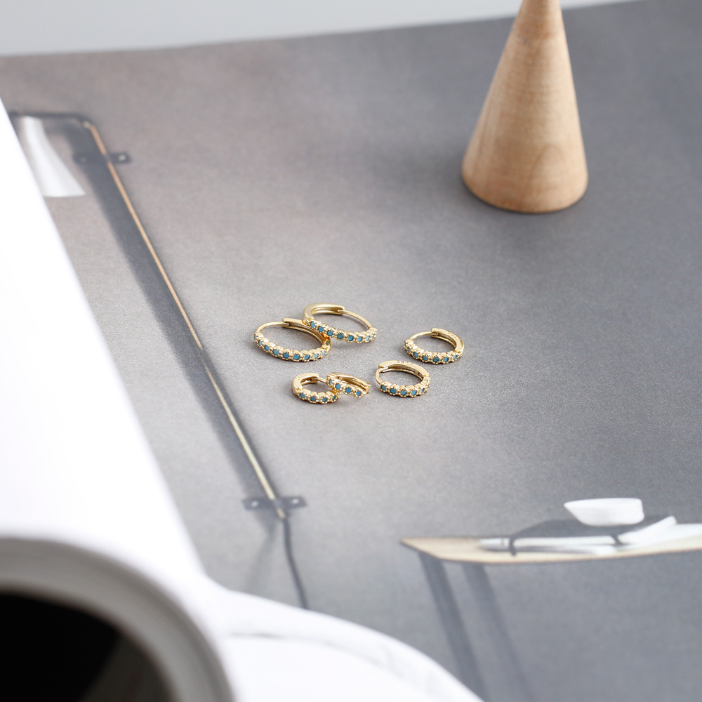Street Occasion 925 Sterling Silver Material 1 Pair 925 Sterling Silver Circle Round Zircon Earrings