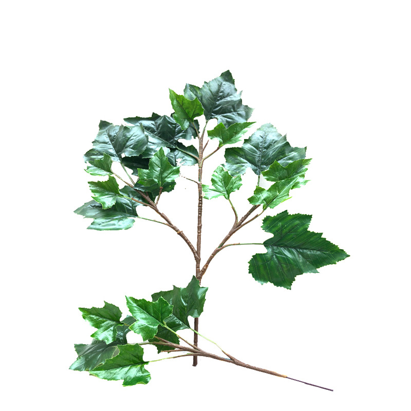 XRB-266 梧桐叶单枝5叶 (2)