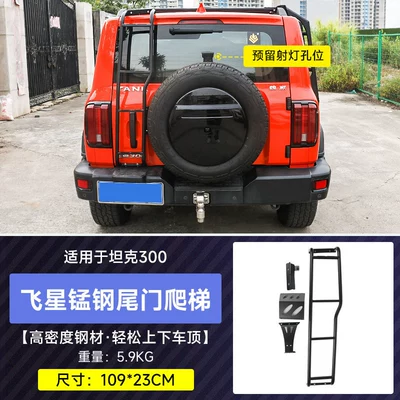 Roof rack, Tank 300 Flying Star - tank-300-flying-star-integrated-tailgate-laddermanganese-steel-no-drilling-required