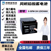 �緫6-GFM-24����12V24AH�ܷ�ʽUPS EPS��Դ����豸