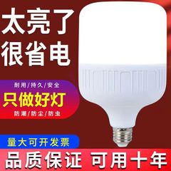 LED energy-saving light super bright household E27 screw base B22 bayonet base white light indoor lighting factory high power bulb