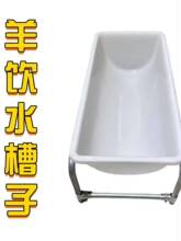 �����������ʳ���ϲ��ˮ���Bֳ�O���Bֳ�����ð�ɫ�L����ιʳ��