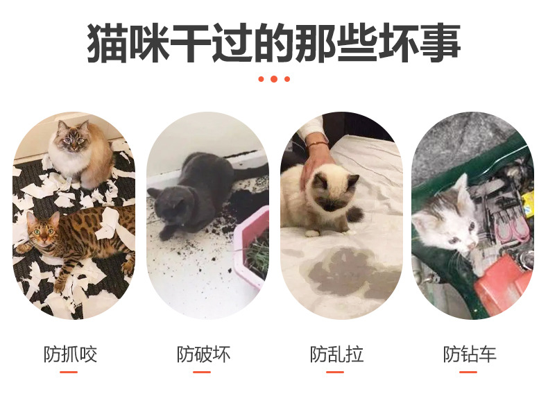 长方形仿猫垫 (3)