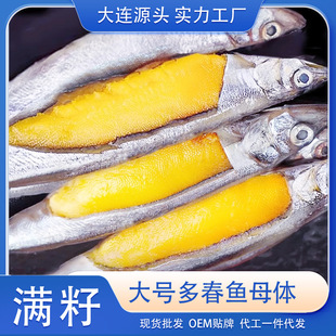 �ഺ�~�r�����ц΃��M�Ѵ�̖�����������������l�����~�ش��B���S