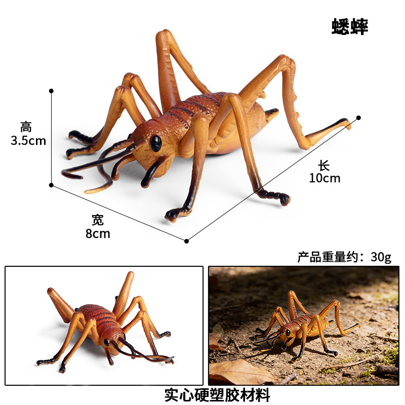 M-1308 cricket