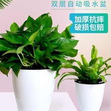 �S��ֱ�N��֬��̖����G�}����ˮ�����ϻ������l �Ԅ���ˮ������