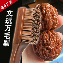 ����ˢ��̼������{��ëˢ�fëˢ���Һ��^����Ӳë�{��ˢ����