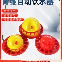 小鸡饮水器鸽子鸭鹅自动喂水器鹌鹑补水器配件雏鸡饮水壶养鸡设备